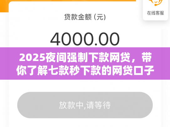 2025夜间强制下款网贷，带你了解七款秒下款的网贷口子大全