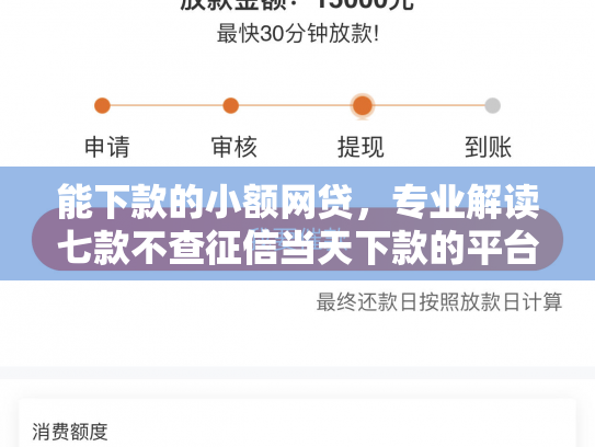 能下款的小额网贷，专业解读七款不查征信当天下款的平台