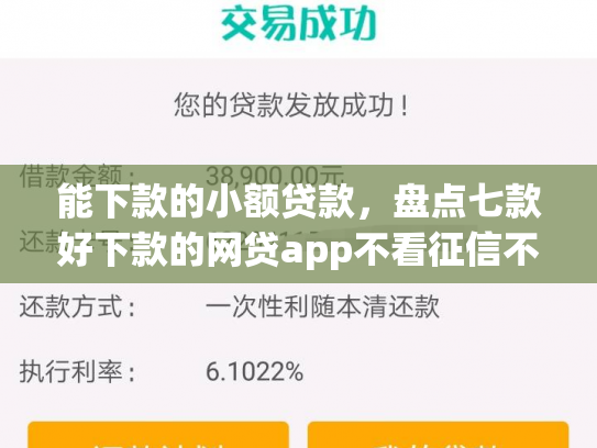能下款的小额贷款，盘点七款好下款的网贷app不看征信不看负责