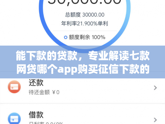 能下款的贷款，专业解读七款网贷哪个app购买征信下款的6
