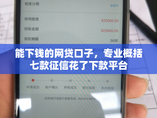 能下钱的网贷口子，专业概括七款征信花了下款平台