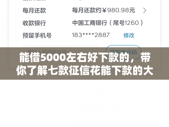 能借5000左右好下款的，带你了解七款征信花能下款的大额网贷