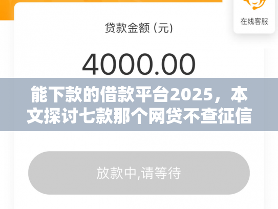 能下款的借款平台2025，本文探讨七款那个网贷不查征信大数据 下款快