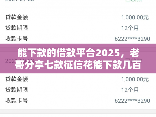 能下款的借款平台2025，老哥分享七款征信花能下款几百的网贷