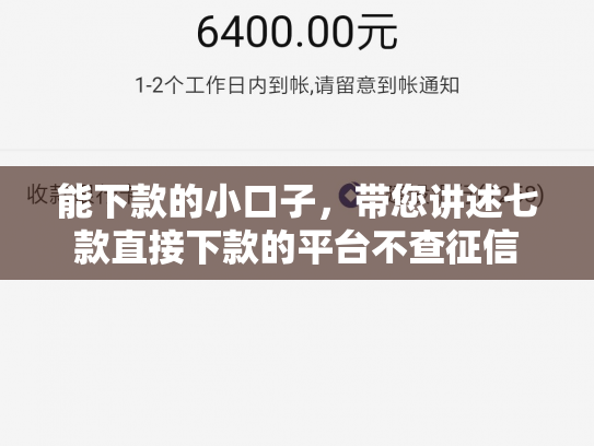 能下款的小口子，带您讲述七款直接下款的平台不查征信