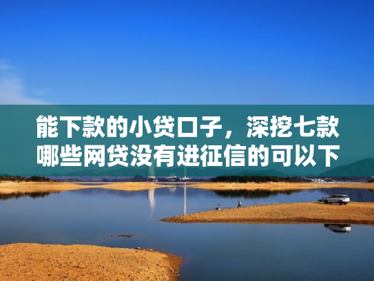 能下款的小贷口子，深挖七款哪些网贷没有进征信的可以下款