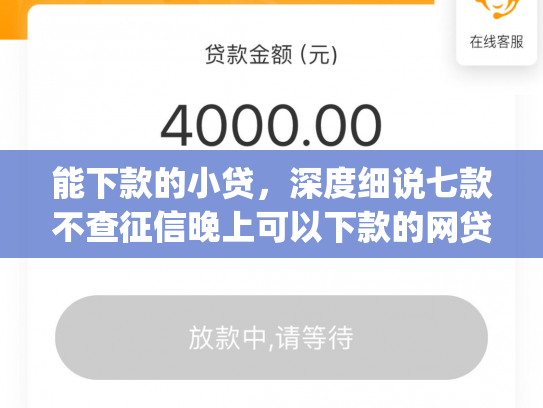能下款的小贷，深度细说七款不查征信晚上可以下款的网贷app