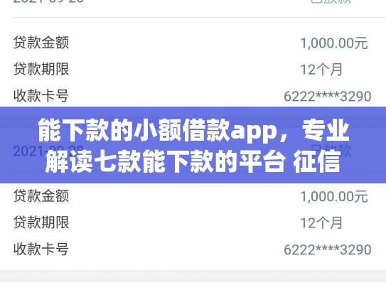 能下款的小额借款app，专业解读七款能下款的平台 征信花了