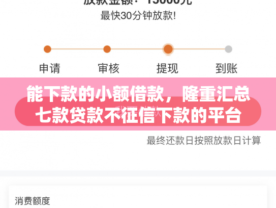 能下款的小额借款，隆重汇总七款贷款不征信下款的平台