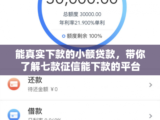 能真实下款的小额贷款，带你了解七款征信能下款的平台