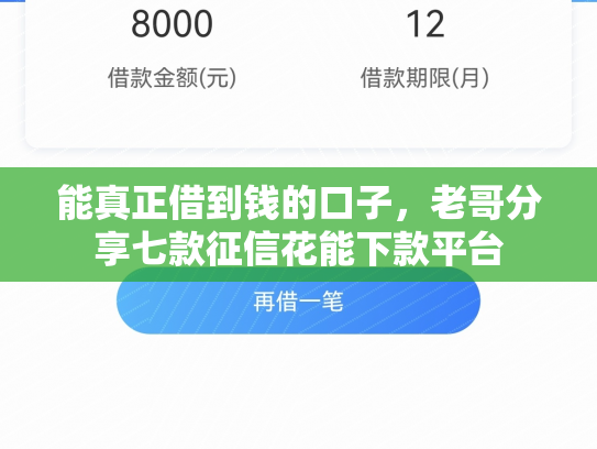能真正借到钱的口子，老哥分享七款征信花能下款平台