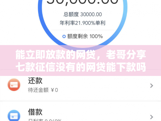 能立即放款的网贷，老哥分享七款征信没有的网贷能下款吗