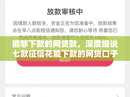 能够下款的网贷款，深度细说七款征信花能下款的网贷口子