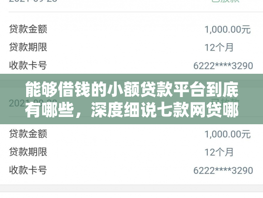 能够借钱的小额贷款平台到底有哪些，深度细说七款网贷哪些不上征信好下款