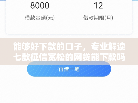 能够好下款的口子，专业解读七款征信宽松的网贷能下款吗