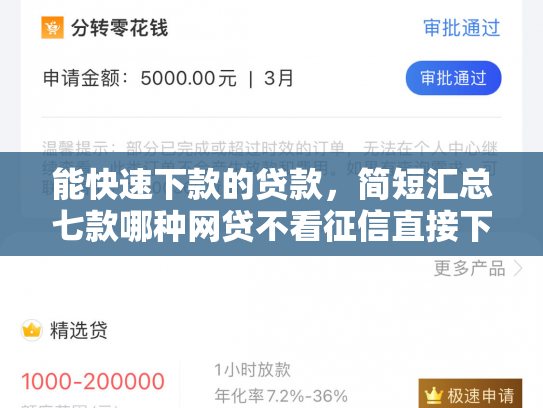 能快速下款的贷款，简短汇总七款哪种网贷不看征信直接下款