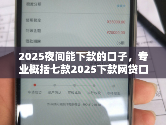 2025夜间能下款的口子，专业概括七款2025下款网贷口子