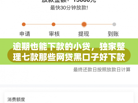 逾期也能下款的小贷，独家整理七款那些网贷黑口子好下款