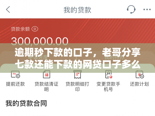 逾期秒下款的口子，老哥分享七款还能下款的网贷口子多么