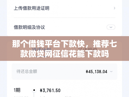 那个借钱平台下款快，推荐七款微贷网征信花能下款吗