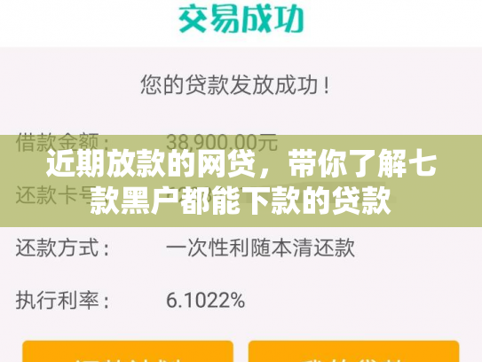 近期放款的网贷，带你了解七款黑户都能下款的贷款
