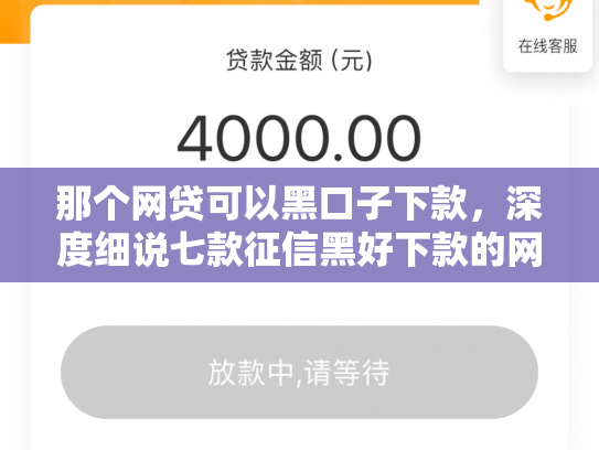 那个网贷可以黑口子下款，深度细说七款征信黑好下款的网贷平台