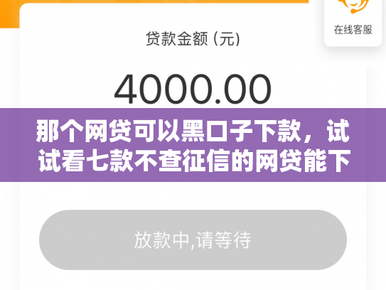 那个网贷可以黑口子下款，试试看七款不查征信的网贷能下款的