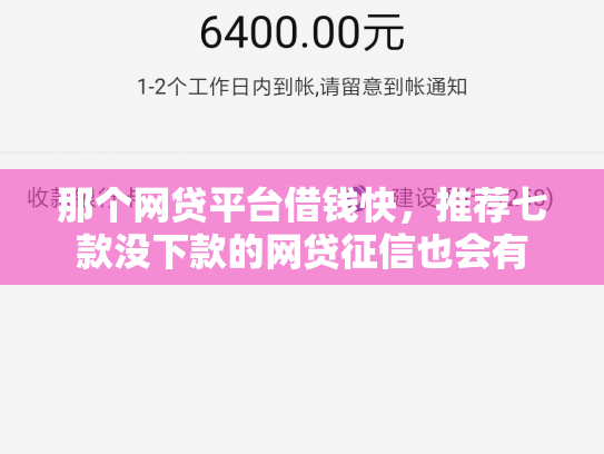 那个网贷平台借钱快，推荐七款没下款的网贷征信也会有