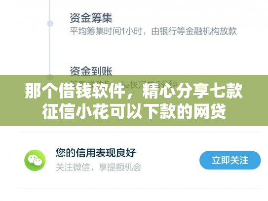 那个借钱软件，精心分享七款征信小花可以下款的网贷