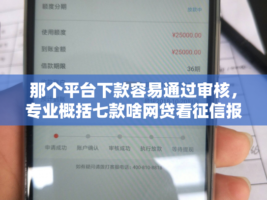 那个平台下款容易通过审核，专业概括七款啥网贷看征信报告好下款