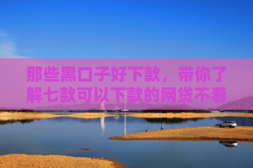 那些黑口子好下款，带你了解七款可以下款的网贷不看征信