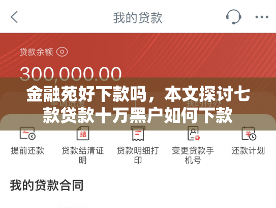 金融苑好下款吗，本文探讨七款贷款十万黑户如何下款
