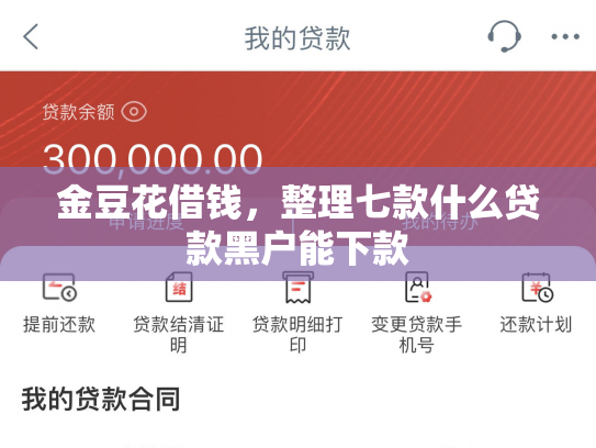 金豆花借钱，整理七款什么贷款黑户能下款