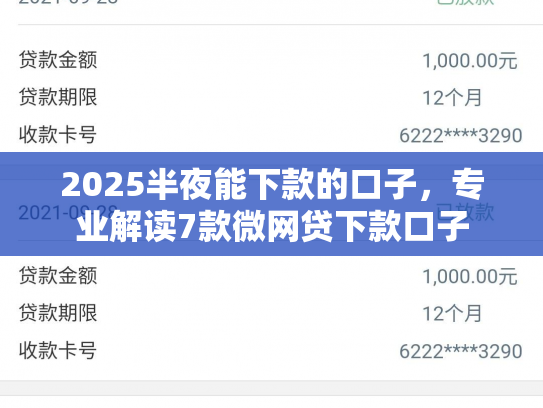 2025半夜能下款的口子，专业解读7款微网贷下款口子