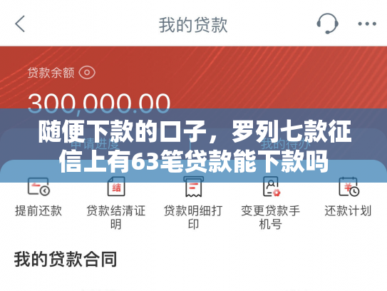 随便下款的口子，罗列七款征信上有63笔贷款能下款吗