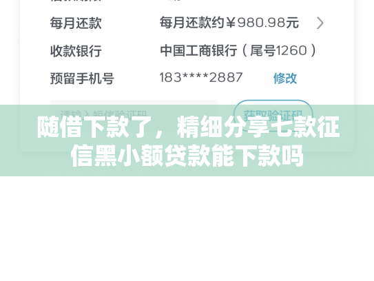 随借下款了，精细分享七款征信黑小额贷款能下款吗