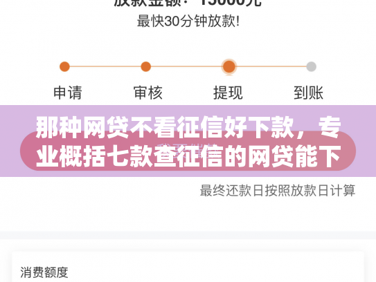 那种网贷不看征信好下款，专业概括七款查征信的网贷能下款吗