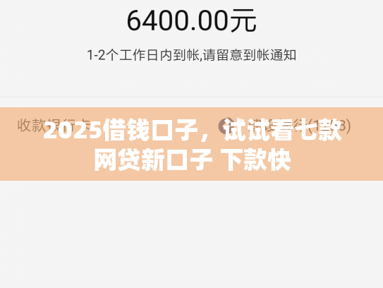 2025借钱口子，试试看七款网贷新口子 下款快