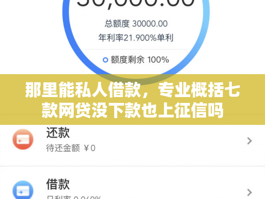 那里能私人借款，专业概括七款网贷没下款也上征信吗