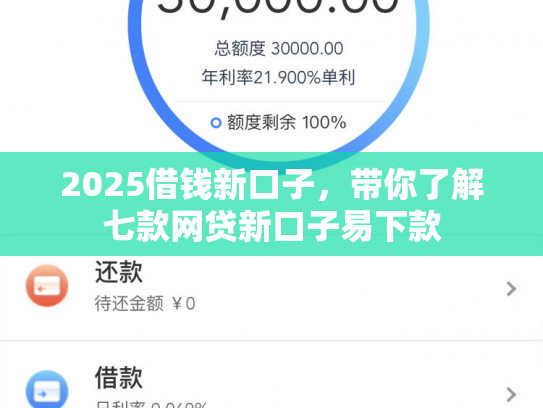 2025借钱新口子，带你了解七款网贷新口子易下款