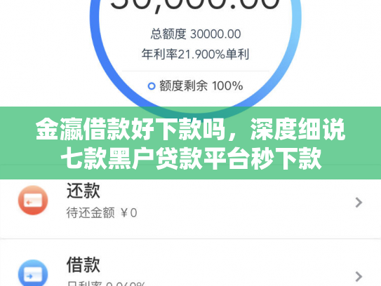 金瀛借款好下款吗，深度细说七款黑户贷款平台秒下款