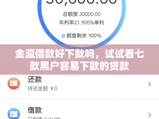 金瀛借款好下款吗，试试看七款黑户容易下款的贷款