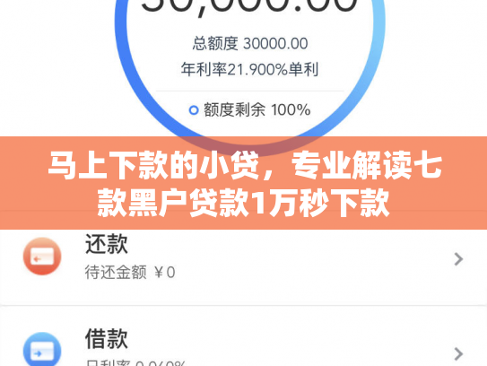 马上下款的小贷，专业解读七款黑户贷款1万秒下款