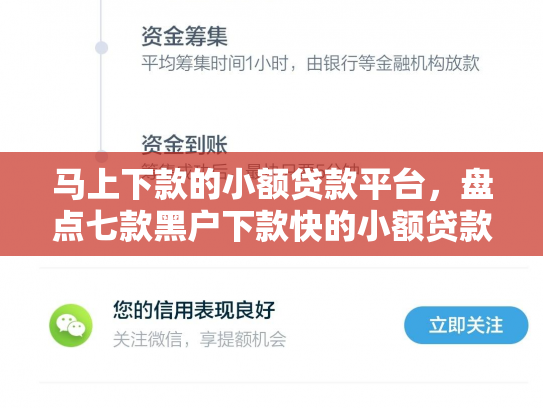 马上下款的小额贷款平台，盘点七款黑户下款快的小额贷款