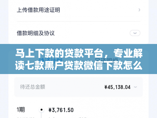 马上下款的贷款平台，专业解读七款黑户贷款微信下款怎么办