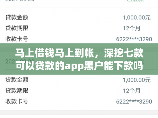 马上借钱马上到帐，深挖七款可以贷款的app黑户能下款吗