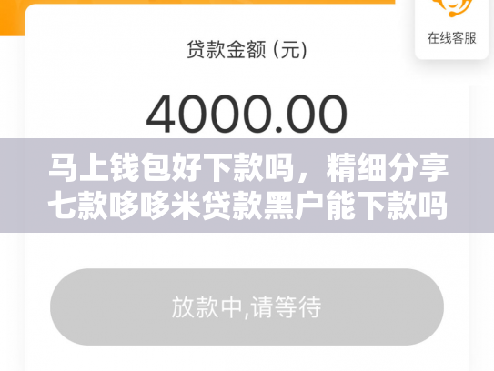 马上钱包好下款吗，精细分享七款哆哆米贷款黑户能下款吗