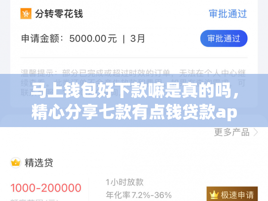 马上钱包好下款嘛是真的吗，精心分享七款有点钱贷款app黑户能下款吗