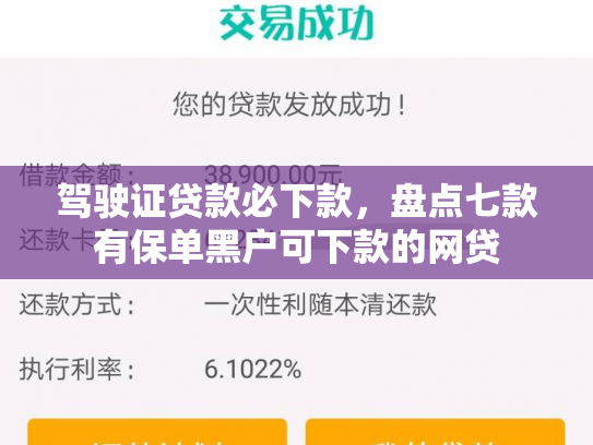 驾驶证贷款必下款，盘点七款有保单黑户可下款的网贷