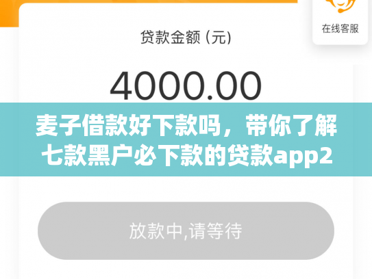 麦子借款好下款吗，带你了解七款黑户必下款的贷款app2025